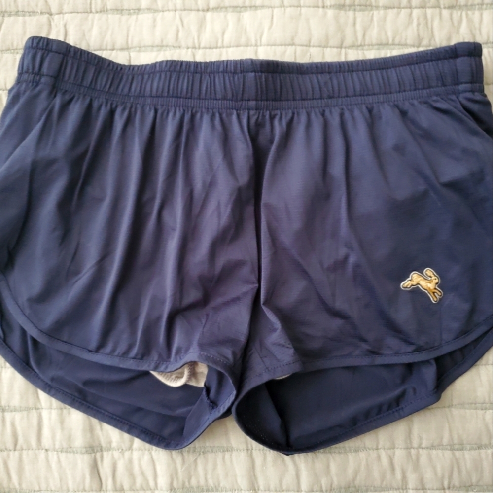 Tracksmith Shorts